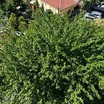 Mar Boutique * Isztambul