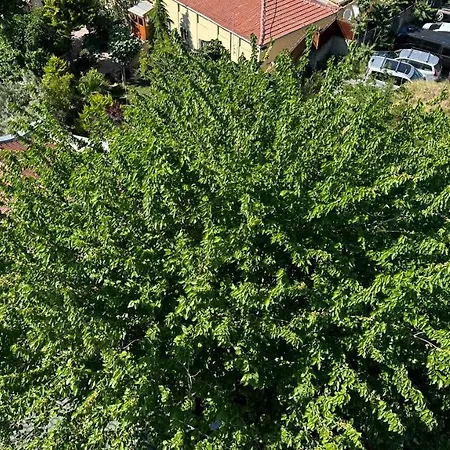 Mar Boutique * İstanbul