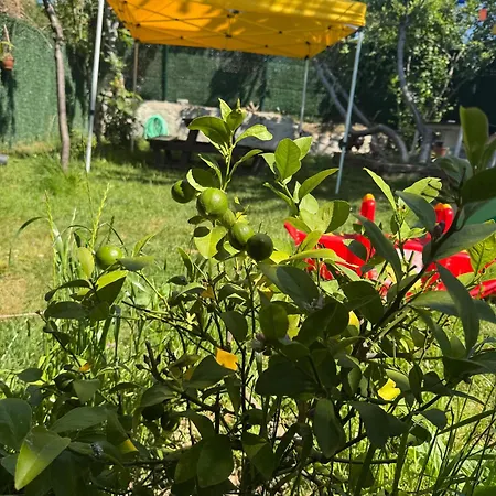 Mar Boutique Daire İstanbul